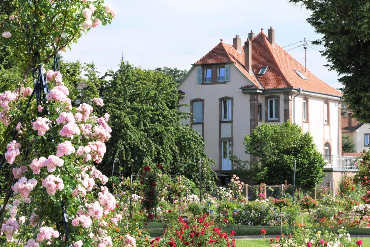 Apartmán Le Jardin Des Roses Saverne Exteriér fotografie