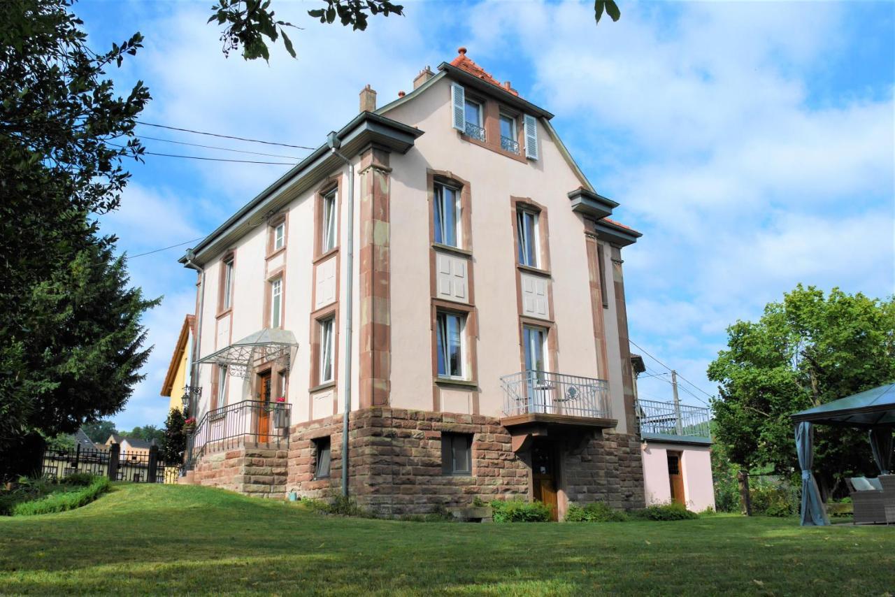 Apartmán Le Jardin Des Roses Saverne Exteriér fotografie