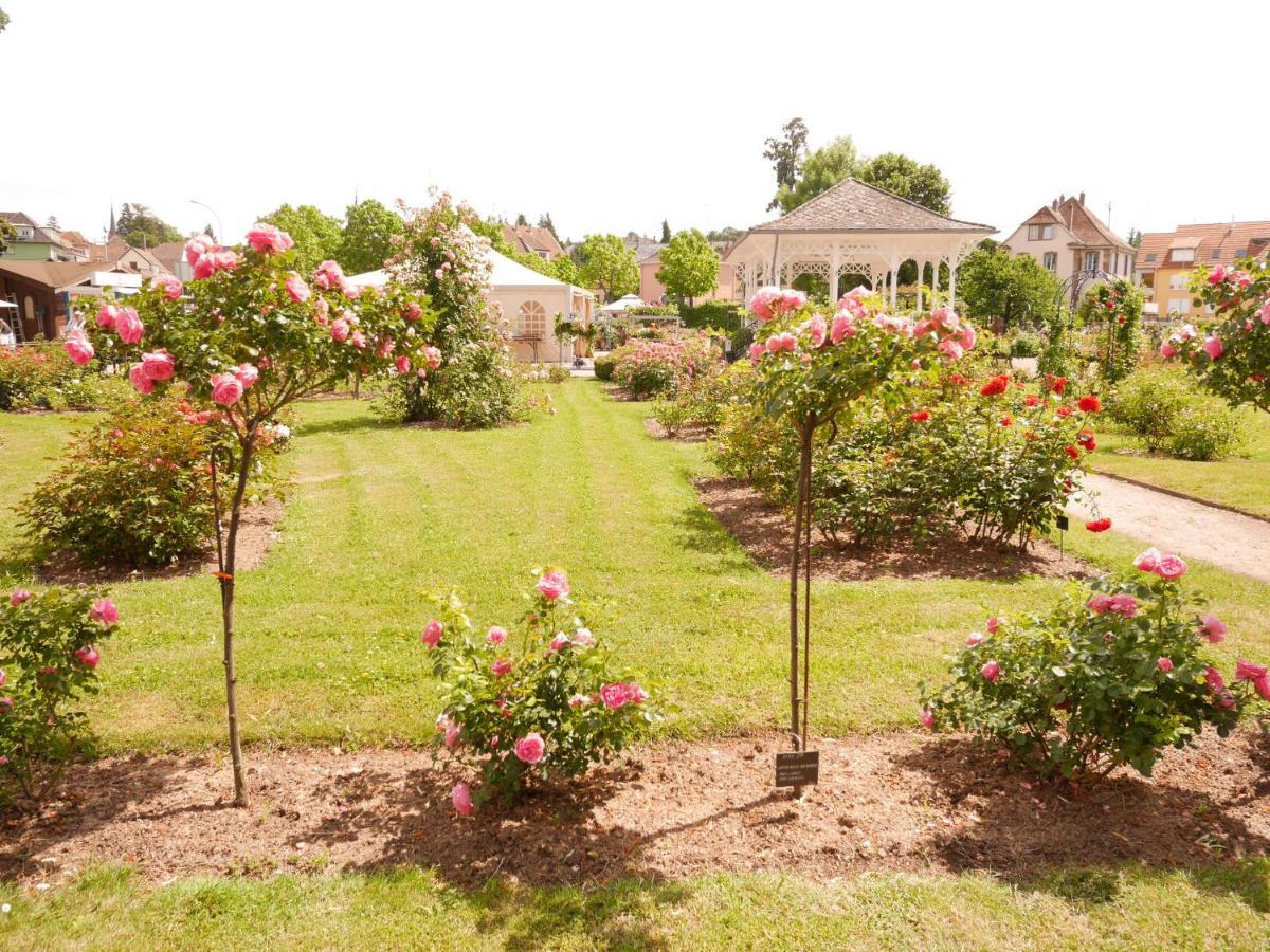Apartmán Le Jardin Des Roses Saverne Exteriér fotografie