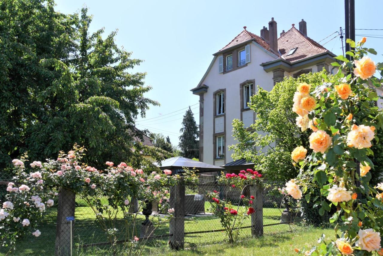 Apartmán Le Jardin Des Roses Saverne Exteriér fotografie