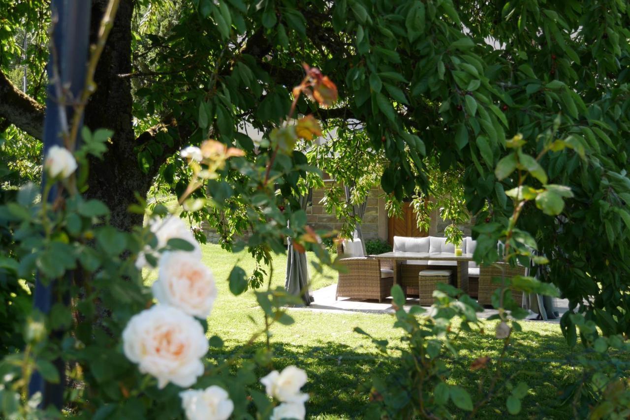 Apartmán Le Jardin Des Roses Saverne Exteriér fotografie