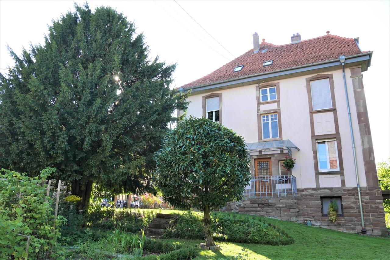 Apartmán Le Jardin Des Roses Saverne Exteriér fotografie