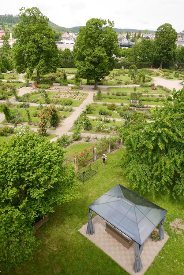Apartmán Le Jardin Des Roses Saverne Exteriér fotografie