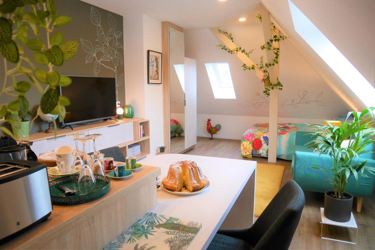 Apartmán Le Jardin Des Roses Saverne Exteriér fotografie