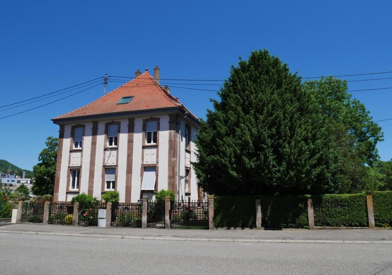 Apartmán Le Jardin Des Roses Saverne Exteriér fotografie
