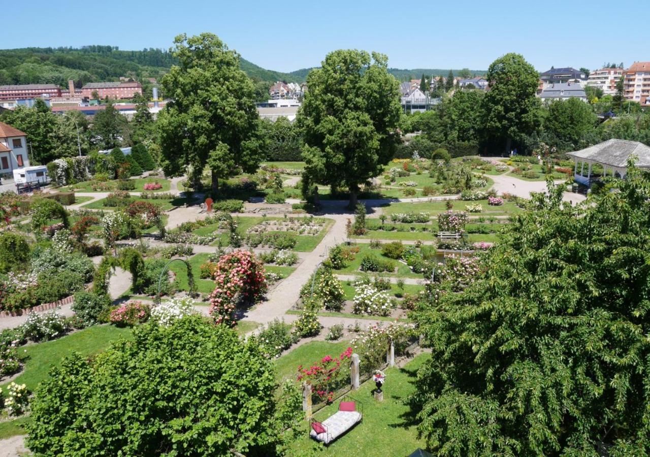 Apartmán Le Jardin Des Roses Saverne Exteriér fotografie